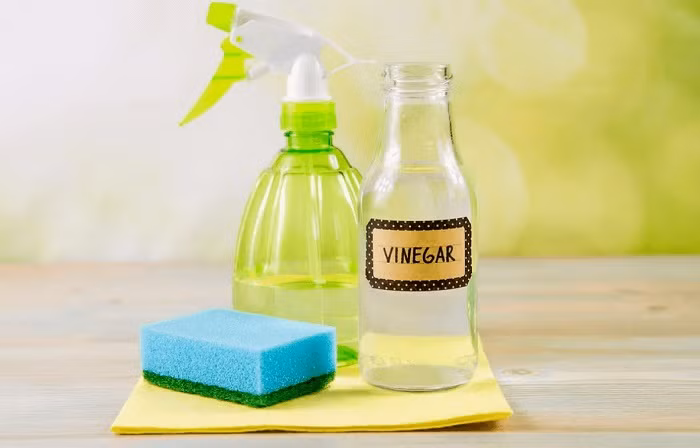 do-nua-coc-giam-an-vao-may-giat-01