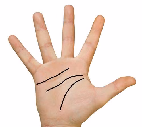 Bàn tay to vuông vực giàu có