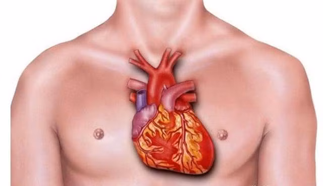 1611623105-9c401f7706ee379b0d8b39f1bb636fb0