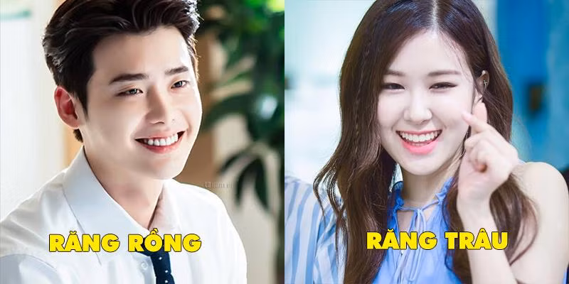 Nhìn vào tướng răng biết tương lai của bạn