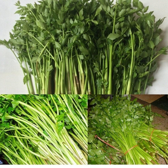 Rau cần tốt, nhưng không phải cũng nên ăn - Ảnh minh họa. Rau cần tốt, nhưng không phải cũng nên ăn - Ảnh minh họa.