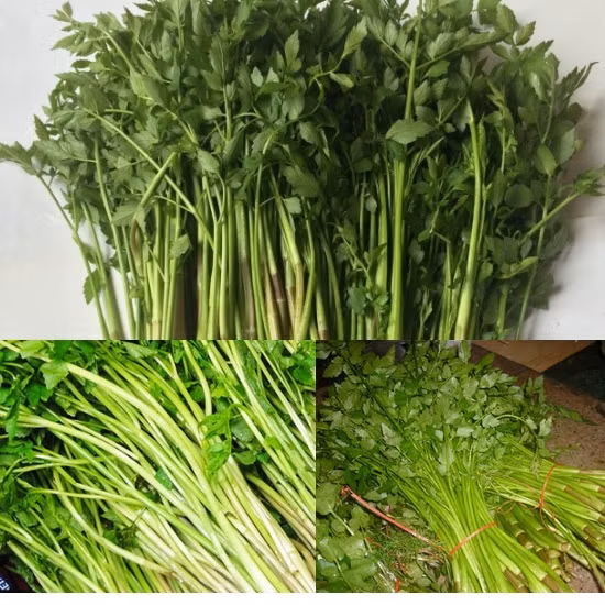 Rau cần tốt, nhưng không phải cũng nên ăn - Ảnh minh họa.