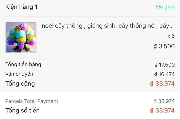 Đặt mua cây thông trên mạng, thanh niên đắng lòng nhận về thứ như măng khô nấu cỗ