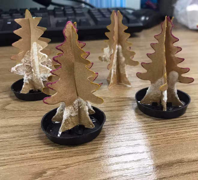 Đặt mua cây thông trên mạng, thanh niên đắng lòng nhận về thứ như măng khô nấu cỗ