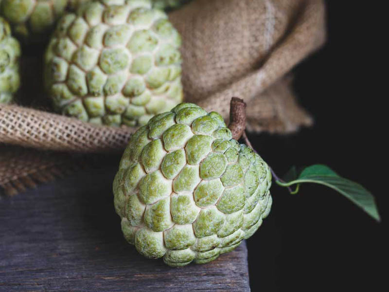 Phụ nữ sau sinh nên và không nên ăn quả gì? ảnh 1 sau sinh nên ăn quả gì