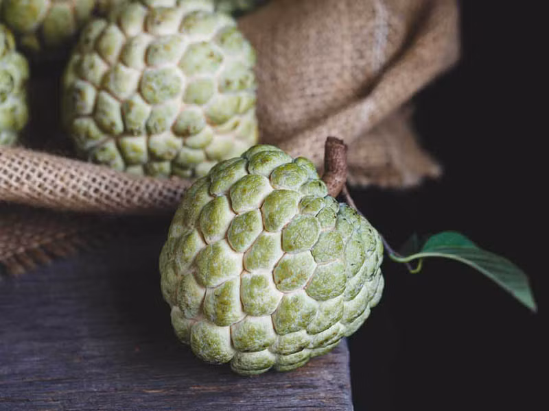 Phụ nữ sau sinh nên và không nên ăn quả gì? ảnh 1 sau sinh nên ăn quả gì