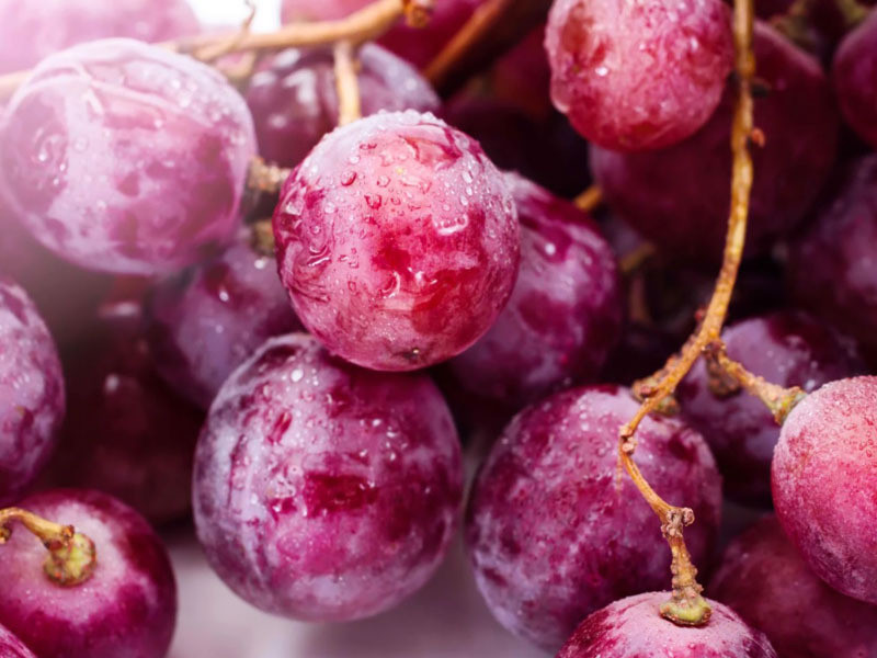 Phụ nữ sau sinh nên và không nên ăn quả gì? ảnh 7 sau sinh nên ăn quả gì