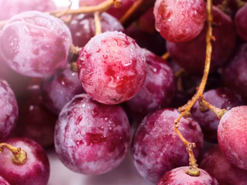 Phụ nữ sau sinh nên và không nên ăn quả gì? ảnh 7 sau sinh nên ăn quả gì