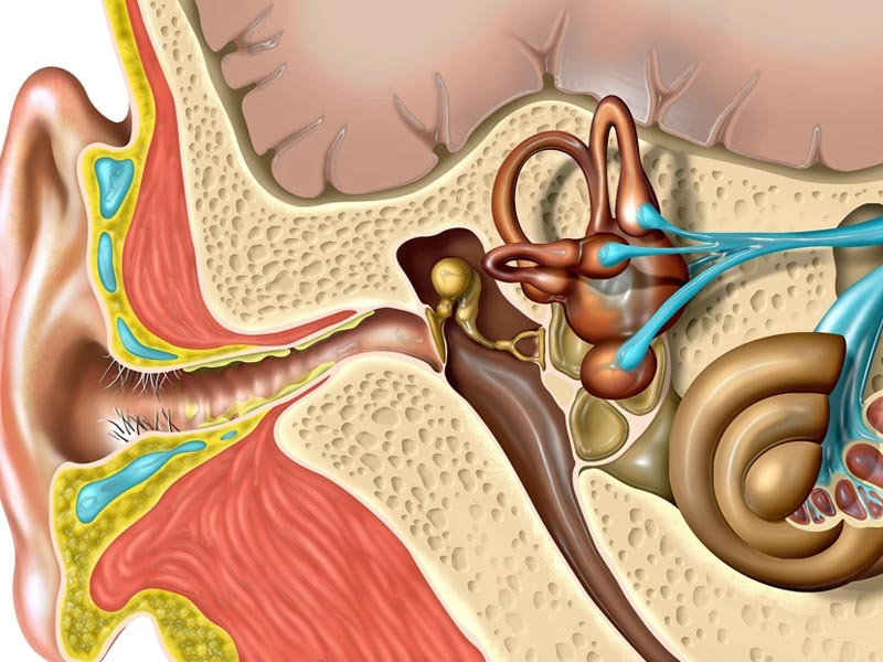 Các dấu hiệu nhận biết chứng đau đầu tiền đình và cách điều trị ảnh 2 đau đầu tiền đình