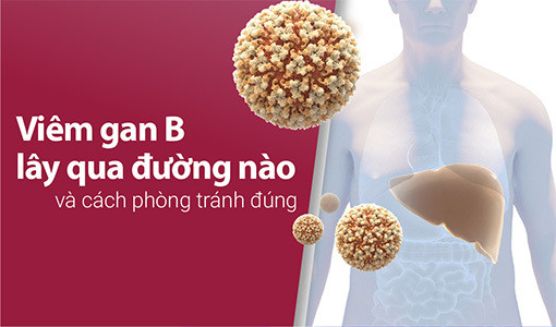 Viêm gan B lây qua đường nào và cách phòng tránh đúng? ảnh 1 Viêm gan B lây qua đường nào