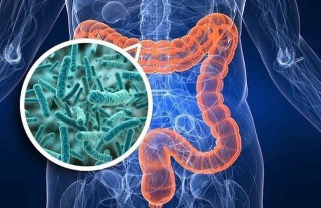 rối loạn tiêu hóa kéo dài ở người lớn