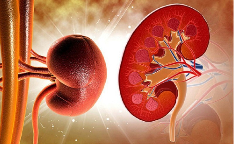 Tay chân lạnh là bị gì, tại sao cần phải cảnh giác? ảnh 1 tay chân lạnh là bị gì