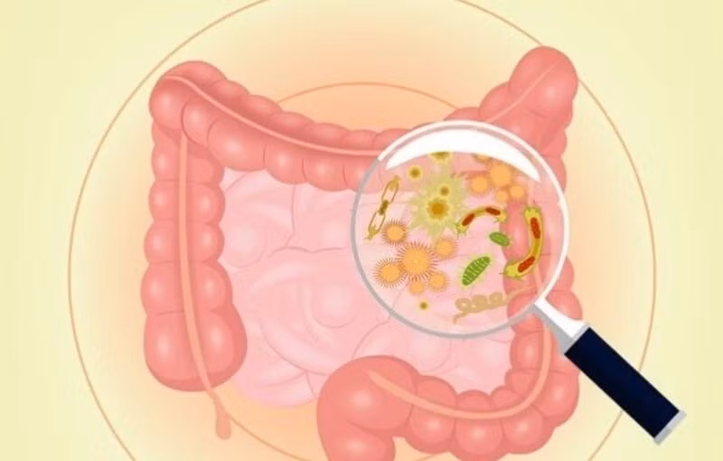 loạn khuẩn đường ruột
