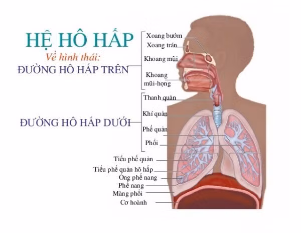 viêm đường hô hấp trên ở trẻ em