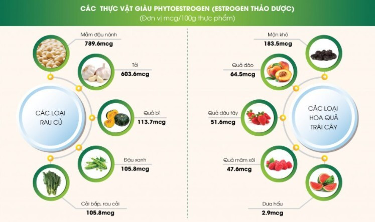 Bị giảm estrogen có nên uống thuốc nội tiết tố nữ? ảnh 3 Thuốc nội tiết tố nữ