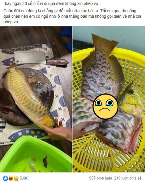 Chồng nhậu say ngủ nhà bạn, vợ làm thịt cá rồng chục triệu trút giận ảnh 1 Chồng mê nhậu ngủ nhà bạn không về, vợ làm thịt cá rồng chục triệu