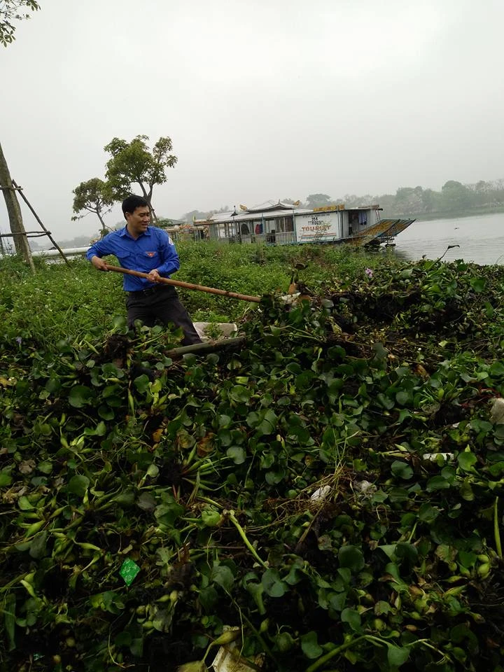 Bèo tây tràn ngập sông Hương