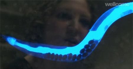 Giới khoa học đã chụp được ảnh Giới khoa học đã chụp được ảnh