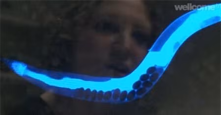 Giới khoa học đã chụp được ảnh 