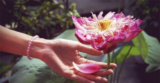 10 quý nhân đã may mắn gặp được, đừng bao giờ để mất trong đời