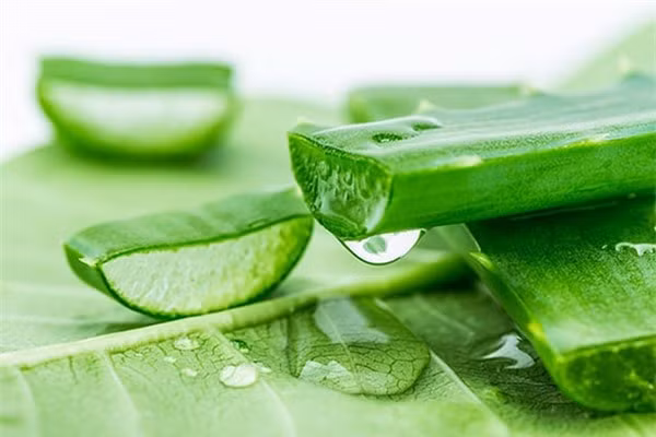 meo chua bong nhanh chong và hieu qua bang cac nguyen lieu tu nhien co san trong tu bep giadinhvietnam (2)