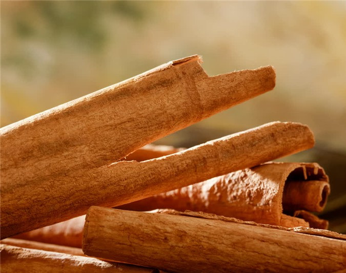 Top 6 cây dược liệu trị tiểu đường hiệu quả và đơn giản tại nhà