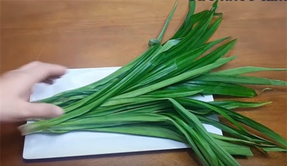 Top 6 cây dược liệu trị tiểu đường hiệu quả và đơn giản tại nhà