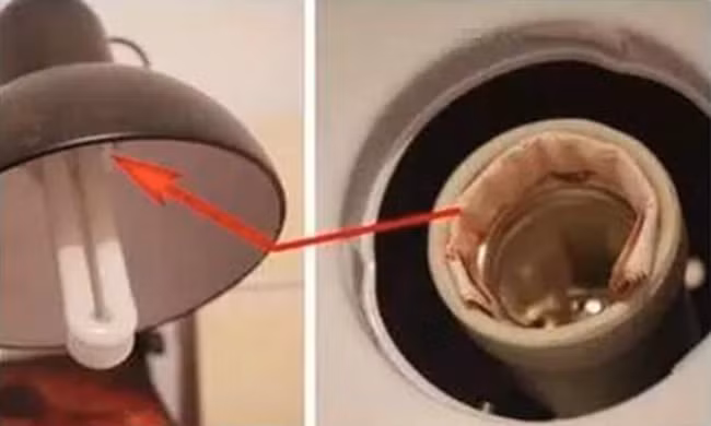 Chồng đột nhiên thích uống trà, vợ mở nắp ấm phát hiện bí mật "động trời" ảnh 2