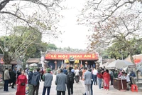 Người dân và du khách dâng hương tại khu vực Đền Trần. 