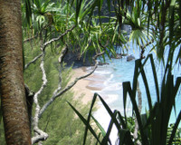 Thiên đường nhiệt đới Na Pali ảnh 4 Thiên đường nhiệt đới Na Pali ảnh 4