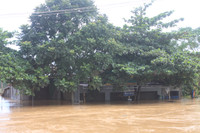 Thanh Hóa: Cứu trợ khẩn cấp hàng nghìn nhà dân ngập lũ ảnh 2