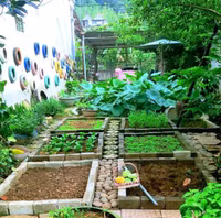 14 khu vườn trồng rau đẹp mê mẩn