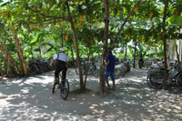 Nhà xe để hoang, học sinh chen chúc gửi xe vào nhà dân ảnh 5