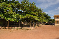 Nhà xe để hoang, học sinh chen chúc gửi xe vào nhà dân ảnh 1