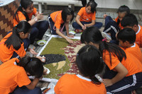 Học sinh TPHCM chung tay bảo vệ tê giác ảnh 2 Học sinh TPHCM chung tay bảo vệ tê giác ảnh 2