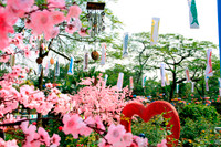 Địa điểm vui xuân Mậu Tuất hút khách tại Hà Nội ảnh 1