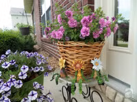 Mê mẩn với vườn hoa đẹp như trong cổ tích của mẹ Việt ở Mỹ ảnh 6