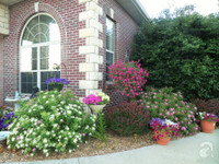 Mê mẩn với vườn hoa đẹp như trong cổ tích của mẹ Việt ở Mỹ ảnh 3