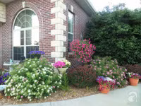 Mê mẩn với vườn hoa đẹp như trong cổ tích của mẹ Việt ở Mỹ ảnh 3