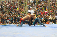 Nghệ An: Linh thiêng lễ hội Đền vua Mai ảnh 11