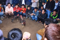 Nghệ An: Linh thiêng lễ hội Đền vua Mai ảnh 9