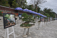 Lễ hội Quán Thế Âm 2016 – ngày hội sắc màu văn hóa Phật giáo ảnh 1