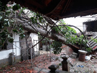 Hà Tĩnh: Thiệt hại ban đầu từ cơn bão số 10 cho nhiều địa phương ảnh 1 Hà Tĩnh: Thiệt hại ban đầu từ cơn bão số 10 cho nhiều địa phương ảnh 1