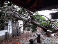 Hà Tĩnh: Thiệt hại ban đầu từ cơn bão số 10 cho nhiều địa phương ảnh 1