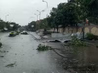 Hà Tĩnh: Thiệt hại ban đầu từ cơn bão số 10 cho nhiều địa phương ảnh 3