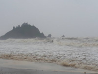 Nghệ An: Bão số 10 tiến sát, mưa to gió lớn và biển động dữ dội ảnh 2 Nghệ An: Bão số 10 tiến sát, mưa to gió lớn và biển động dữ dội ảnh 2