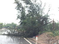 Nghệ An: Bão số 10 tiến sát, mưa to gió lớn và biển động dữ dội ảnh 5 Nghệ An: Bão số 10 tiến sát, mưa to gió lớn và biển động dữ dội ảnh 5