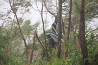 Quảng Bình: Siêu bão tàn phá ảnh 4 Quảng Bình: Siêu bão tàn phá ảnh 4