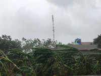 Bão số 10 hướng vào miền Trung: Cuồng phong ảnh 6