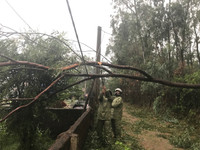 Bão số 10 hướng vào miền Trung: Cuồng phong ảnh 2